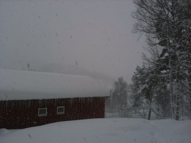 snø